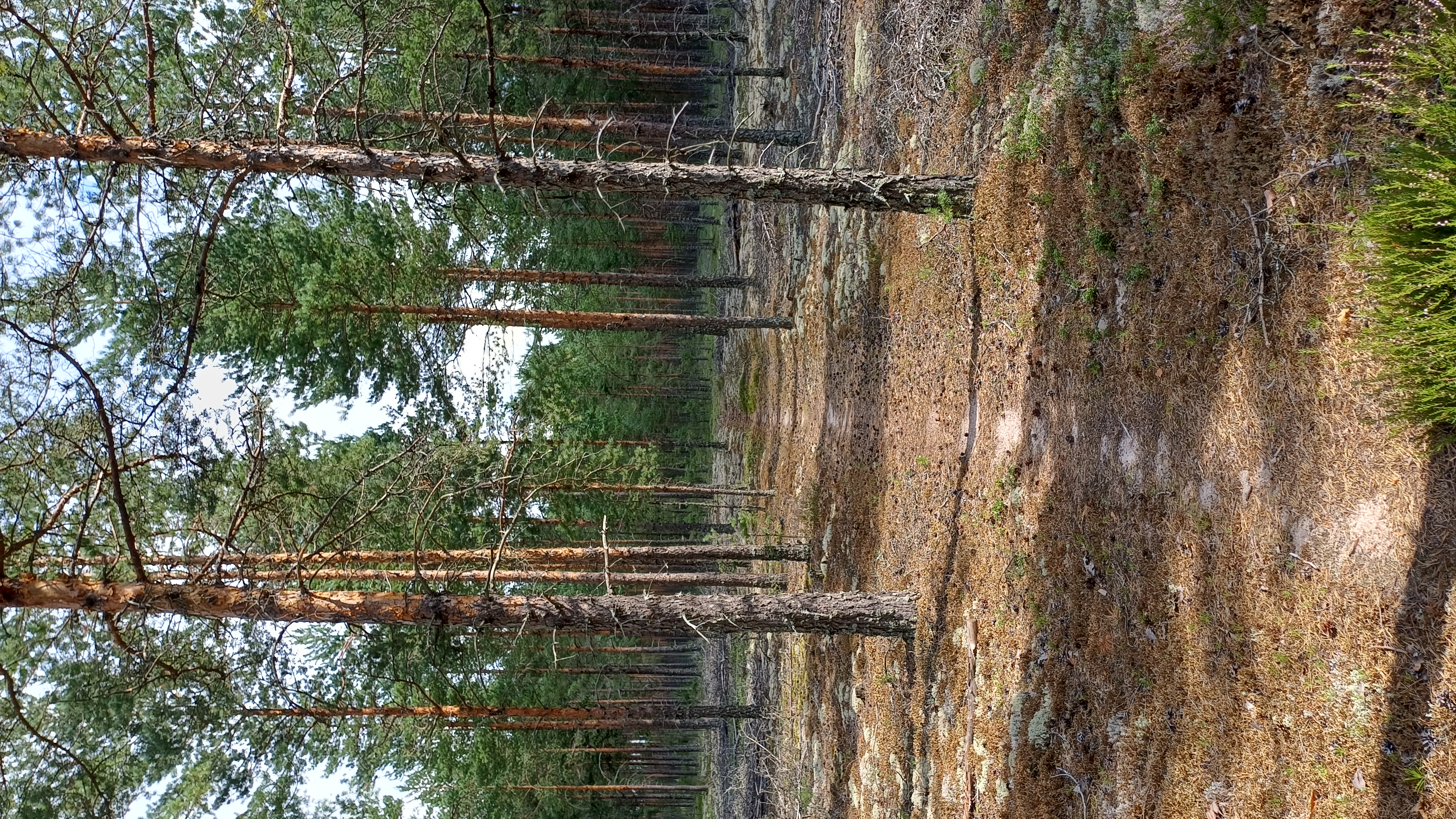 Hiittenharju - 27 km - easy round route