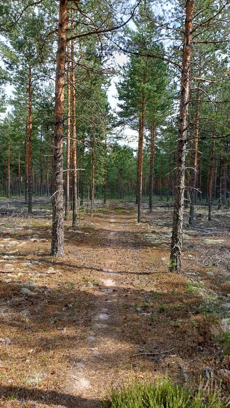 Hiittenharju - 27 km - easy round route