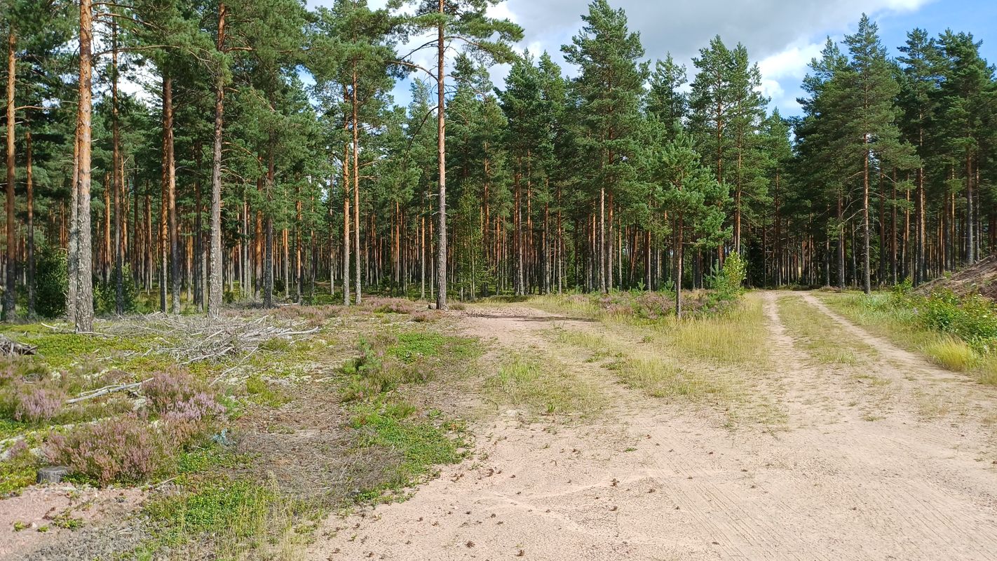 Hiittenharju - 27 km - easy round route