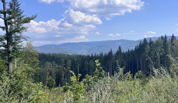 Foto 2 der Bikemap-Route "Zelená Stuha Horehronia, Braväcovo to Braväcovo, Braväcovo"