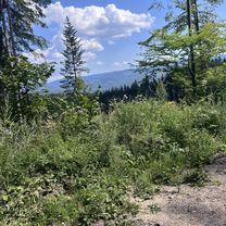 Zelená Stuha Horehronia, Braväcovo to Braväcovo, Braväcovo