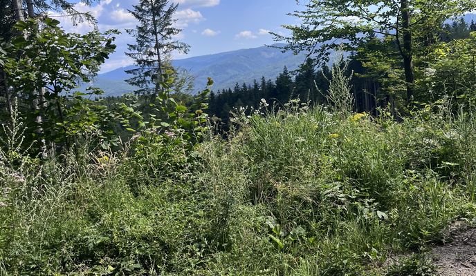 Foto 1 der Bikemap-Route "Zelená Stuha Horehronia, Braväcovo to Braväcovo, Braväcovo"