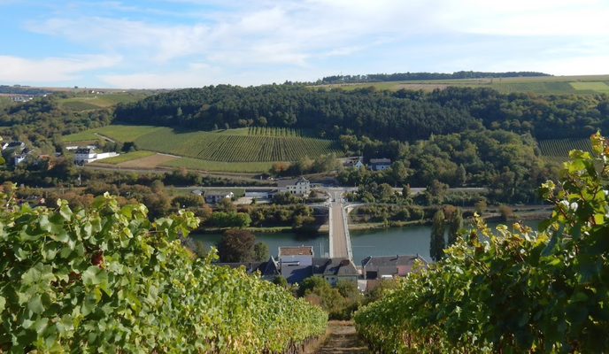 Zdjęcie 2 trasy Bikemap „RT 48km Perl - Remich- Wormeldance-Grevemacher- Nittel-  Perl”