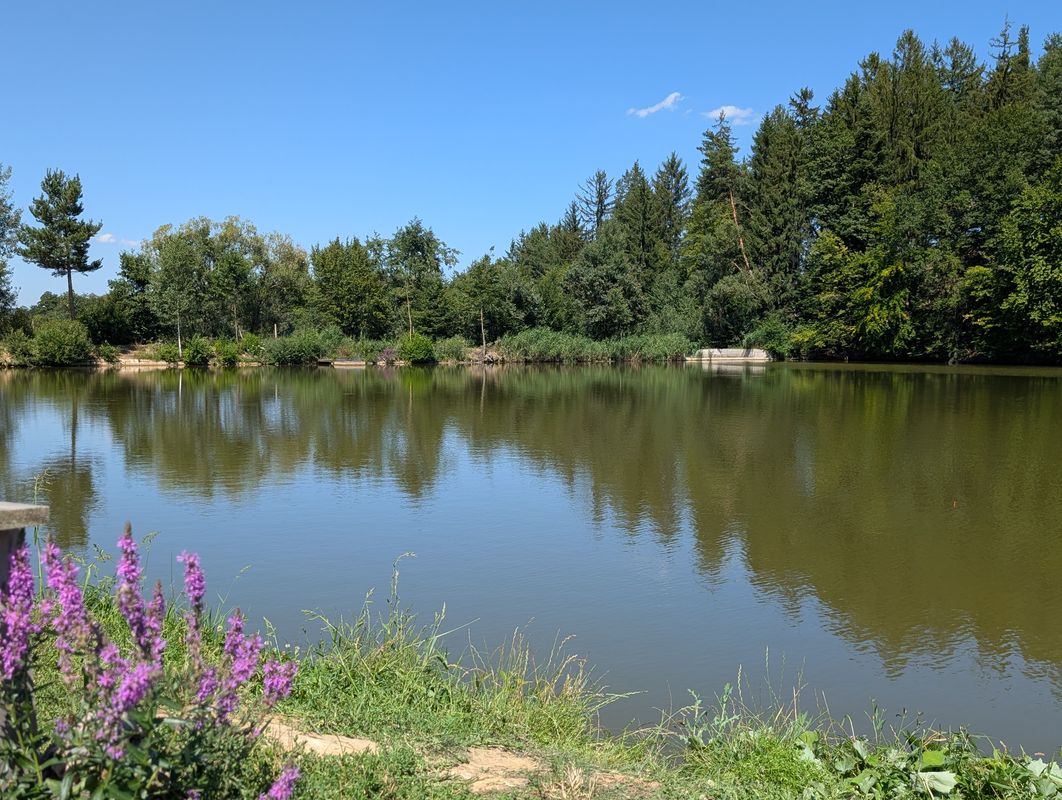 Bran, Vulcan lacuri, Brasov