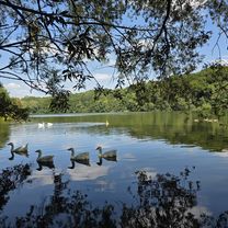 Hangeweiher - Kerkrade Cranenweyer - Hangeweiher (similar to the route by ) (E-MTB)