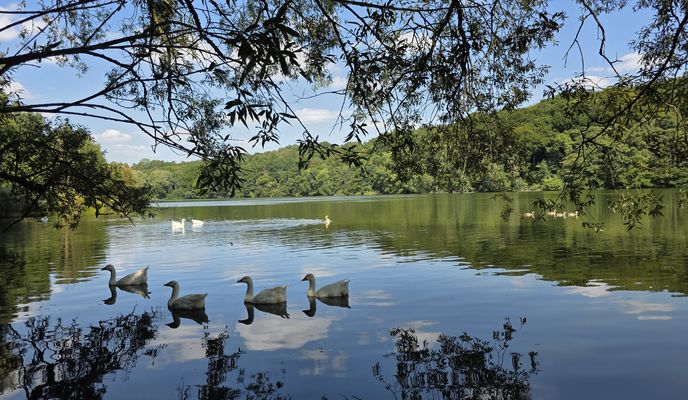 Foto 1 der Bikemap-Route "Hangeweiher - Kerkrade Cranenweyer - Hangeweiher (similar to the route by ) (E-MTB)"