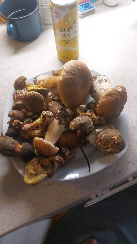 Kařízek do Brodská