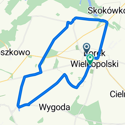 M Konopnickiej, Borek Wielkopolski do Karolew, Borek Wielkopolski
