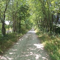 MTB-Runde Gutentaler Bach