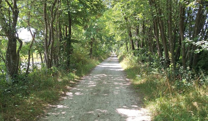 Photo 1 of the Bikemap route "MTB-Runde Gutentaler Bach"