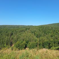 Photo 7 of the Bikemap route "MTB-Runde Gutentaler Bach"