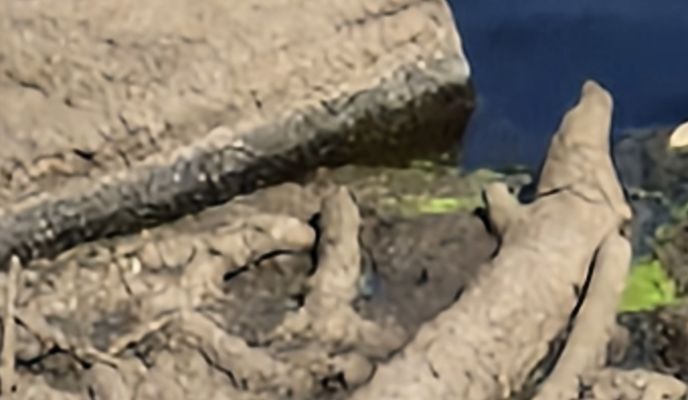 Foto 2 de la ruta de Bikemap "Handwerkerhof nach Zwickauer Straße"