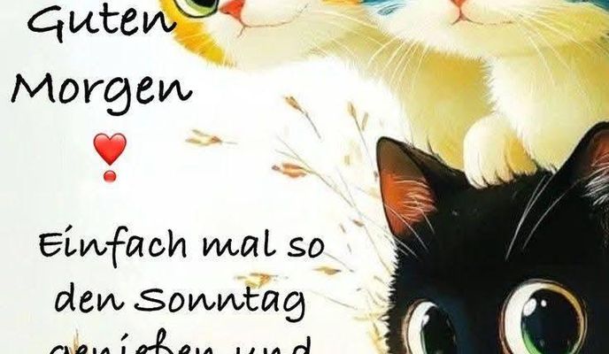 Foto 1 de la ruta de Bikemap "Handwerkerhof nach Zwickauer Straße"