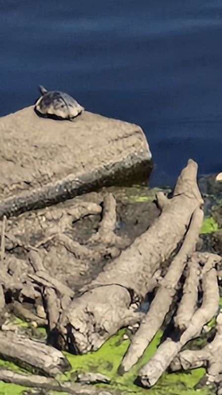 Weißehütte 14a nach Wesertal-Gieselwerder Rathaus