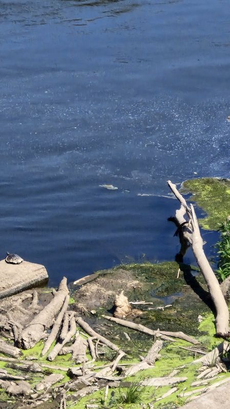 Weißehütte 14a nach Wesertal-Gieselwerder Rathaus