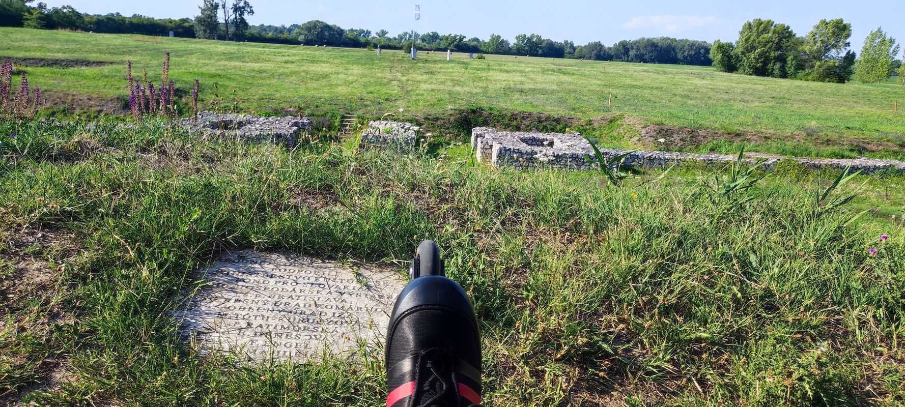 Mérsékelt útvonal