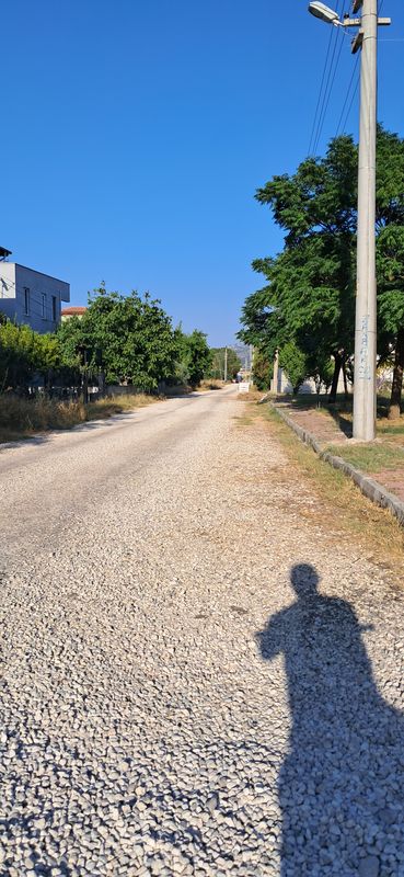Bademağacı