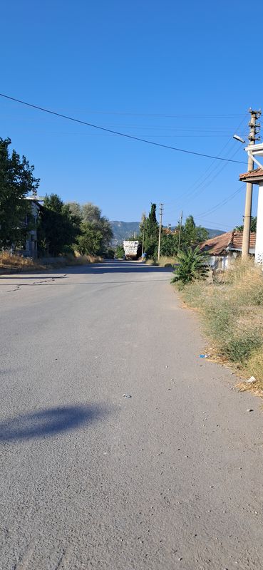 Bademağacı