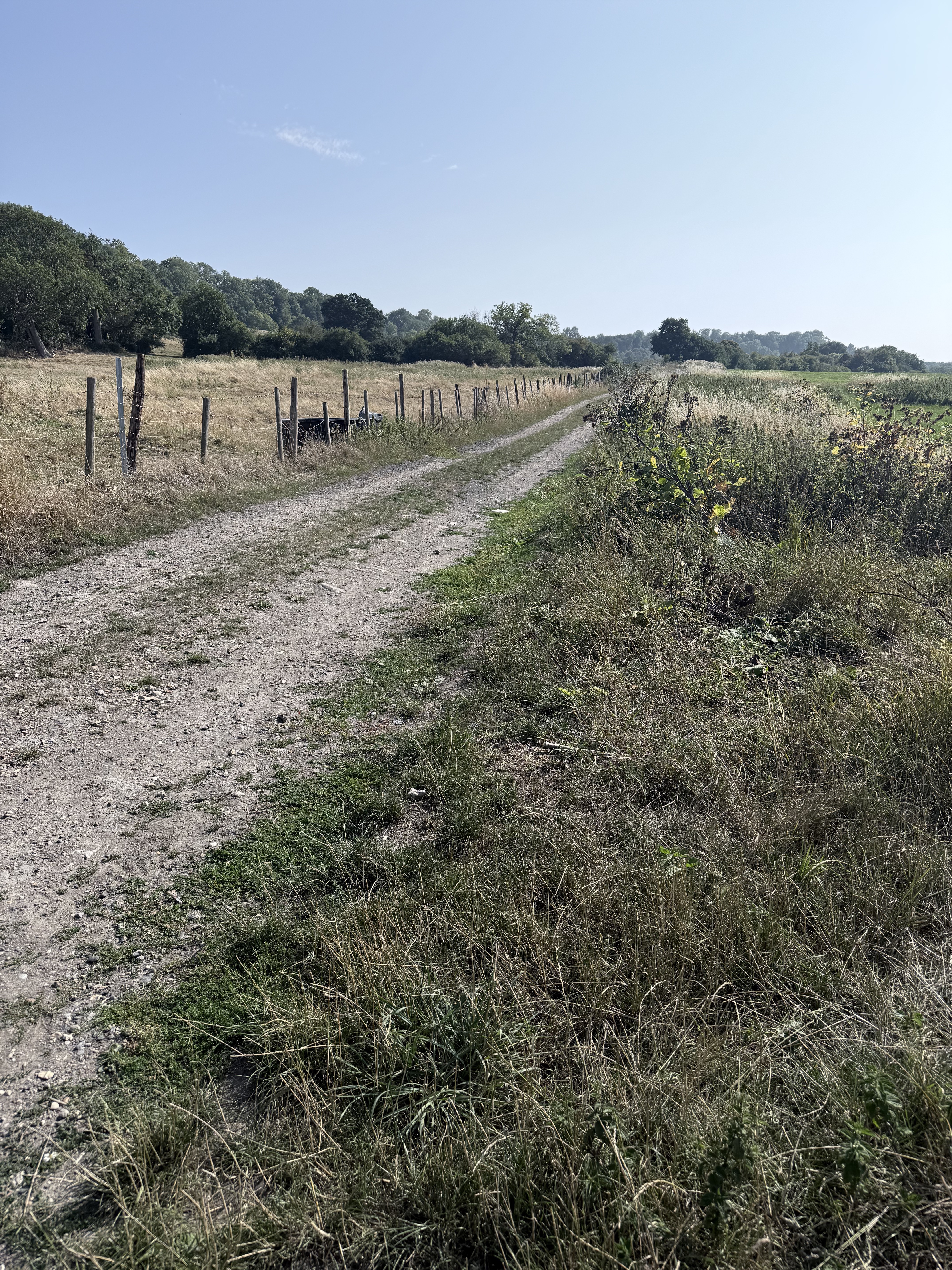Truman Close, Swindon to Ridge Nether Moor, Swindon