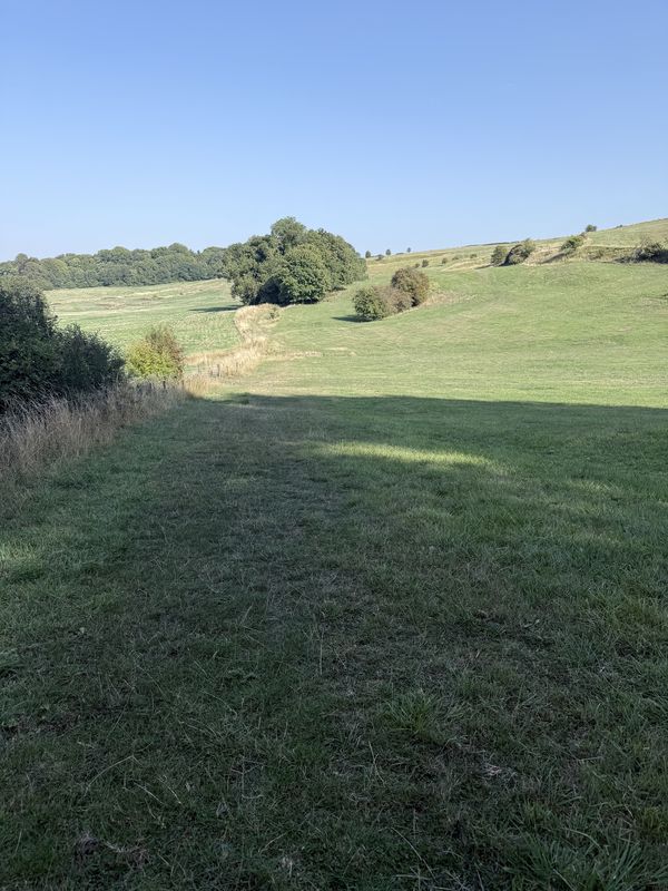 Truman Close, Swindon to Ridge Nether Moor, Swindon