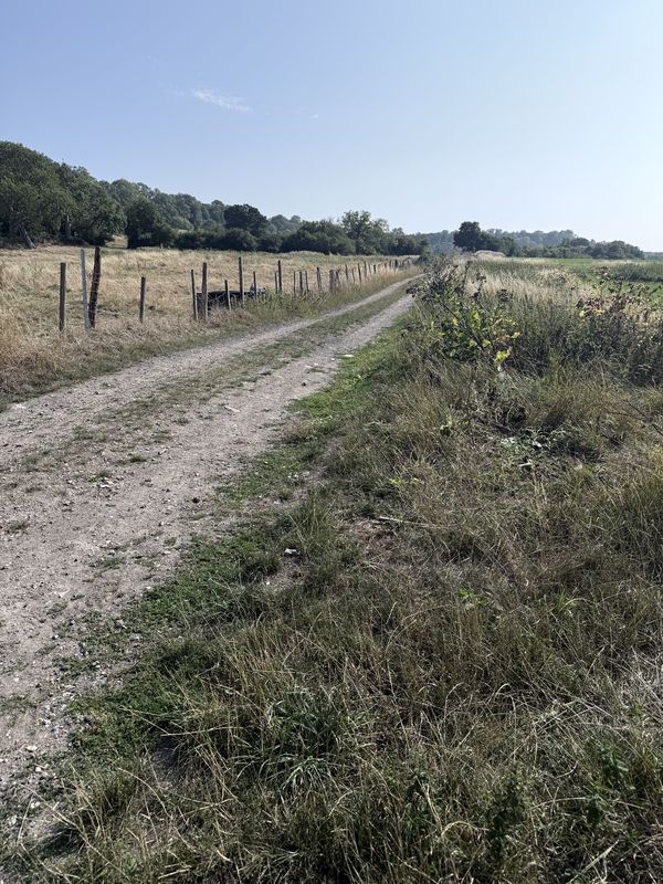 Truman Close, Swindon to Ridge Nether Moor, Swindon