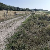 Truman Close, Swindon to Ridge Nether Moor, Swindon