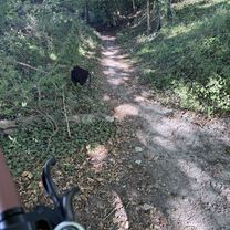 Photo 8 of the Bikemap route "Truman Close, Swindon to Ridge Nether Moor, Swindon"