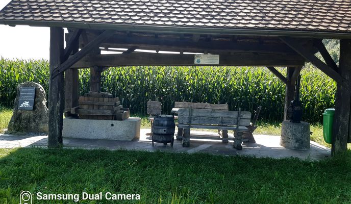 Foto 1 der Bikemap-Route "Von Grein bis Aschach"