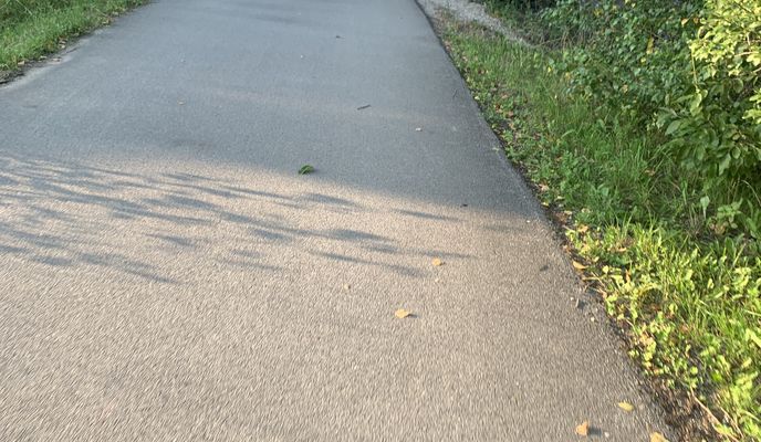 Photo 2 of the Bikemap route "Úhorová, Žilina až Mojšova Lúčka, Žilina"