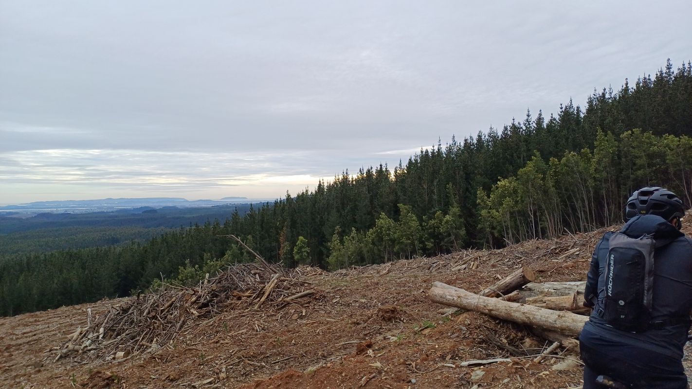 Ruta de descanso segunda parte