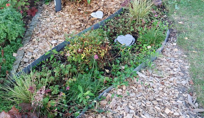 Foto 2 der Bikemap-Route "Wilhelm-Busch-Straße nach Am Nordanger"