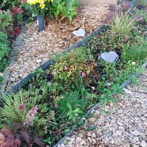 Wilhelm-Busch-Straße nach Am Nordanger