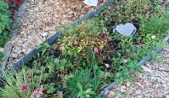 Foto 1 der Bikemap-Route "Wilhelm-Busch-Straße nach Am Nordanger"