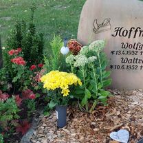 Foto 8 der Bikemap-Route "Wilhelm-Busch-Straße nach Am Nordanger"