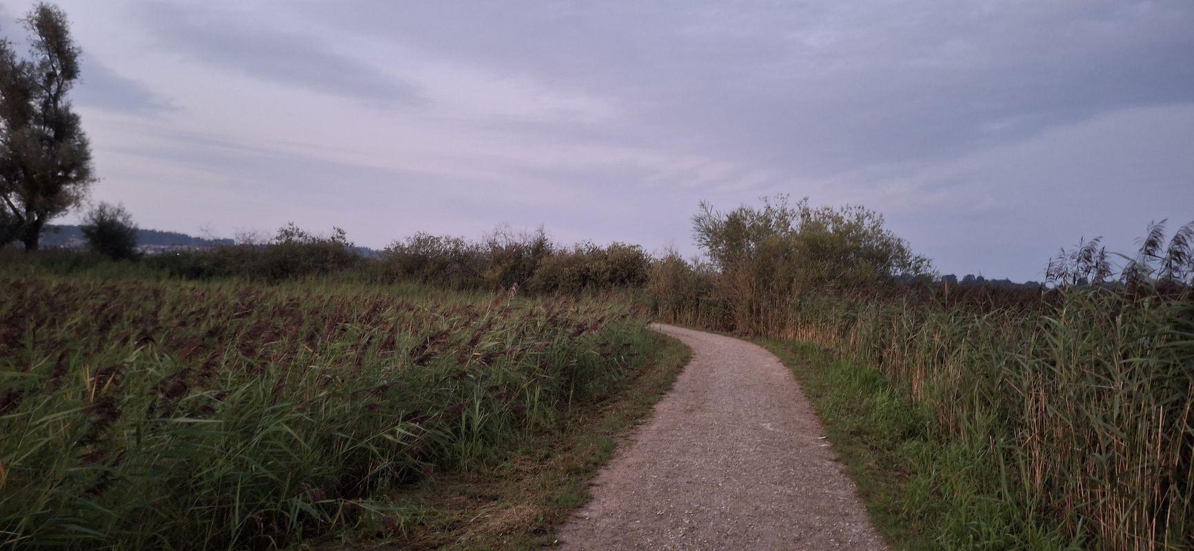 Uferweg nach Seestraße
