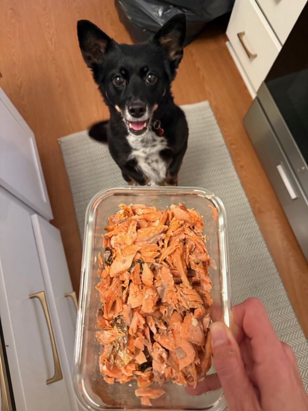 W Belmont Ave, Chicago to W Leland Ave, Chicago