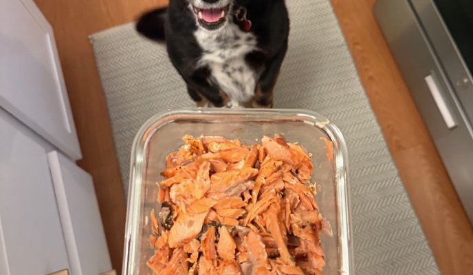 Foto 2 der Bikemap-Route "W Belmont Ave, Chicago to W Leland Ave, Chicago"