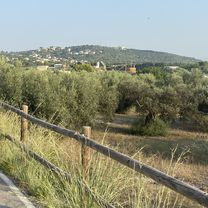 Carrer de la Cala del Puntal S, Vinaròs nach Carrer de la Cala del Puntal S, Vinaròs