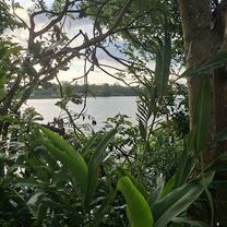 東義路156巷1弄 1號 to 東義路156巷1弄 1號