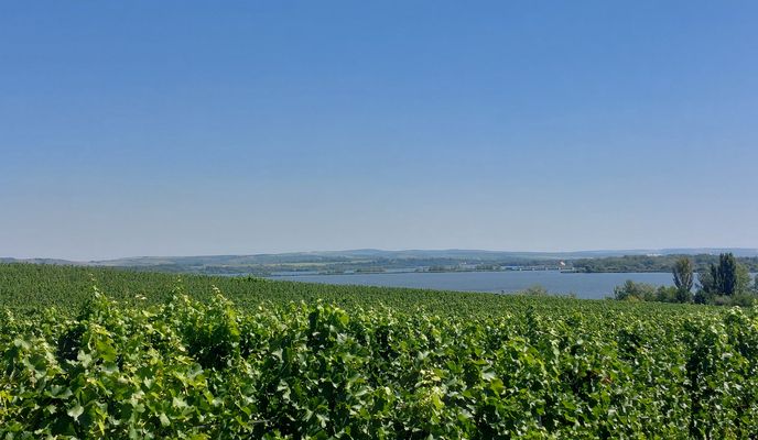 Zdjęcie 2 trasy Bikemap „VHW9+99 do VHW9+99” Zdjęcie 2 trasy Bikemap „VHW9+99 do VHW9+99”