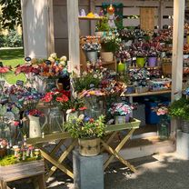 Foto 8 del percorso Bikemap "Rózsa utca, Ábrahámhegy - Balatonalmádi"