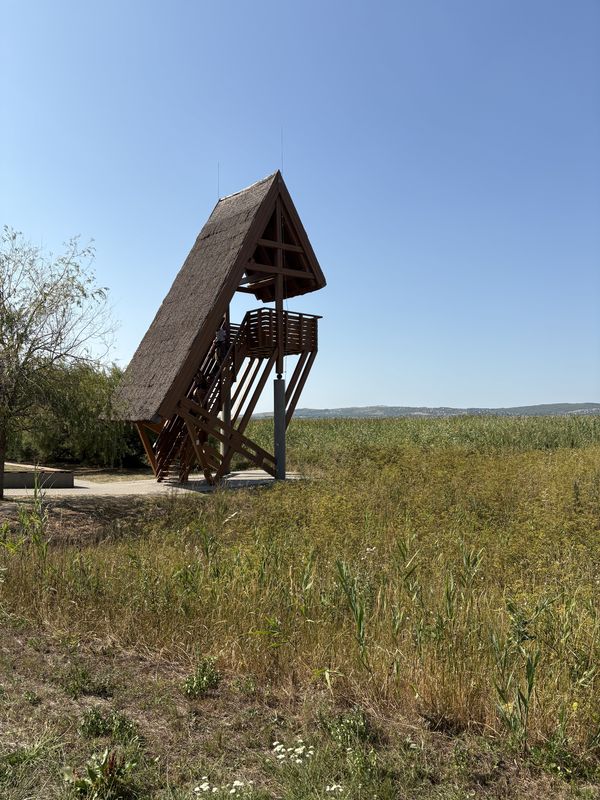 Radnóti utca, Velence - Radnóti utca, Velence