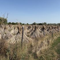 Radnóti utca, Velence - Radnóti utca, Velence