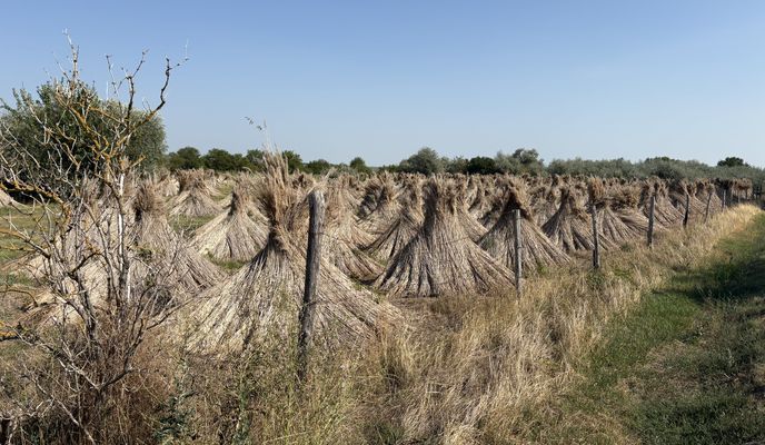 Foto 1 der Bikemap-Route "Radnóti utca, Velence - Radnóti utca, Velence"