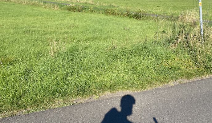 Foto 1 der Bikemap-Route "Cent, Lauterbach nach Hälsbergstraße, Lauterbach"