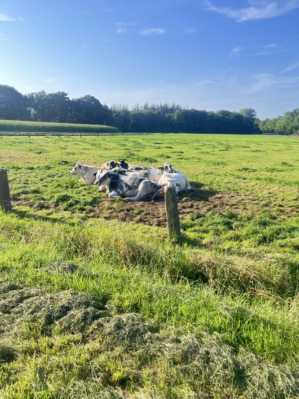 Callenbachstraat, Nijkerk to Venestraat, Nijkerk