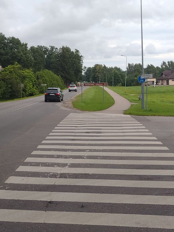 Silute around island park