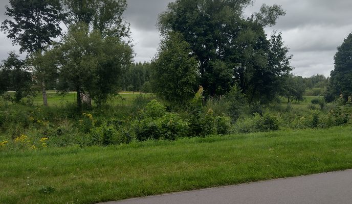 Foto 2 der Bikemap-Route "Silute around island park"