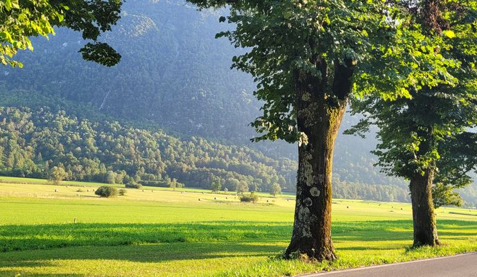 Foto 1 de la ruta de Bikemap "Robič"