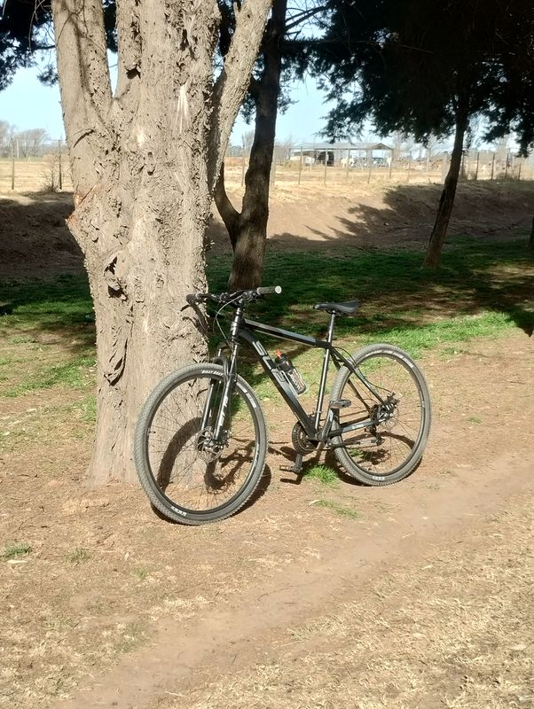 Activando nave nueva 11/8